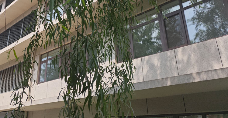 沈陽門窗制作廠家淺談斷熱鋁門窗有哪些優(yōu)點(diǎn)？